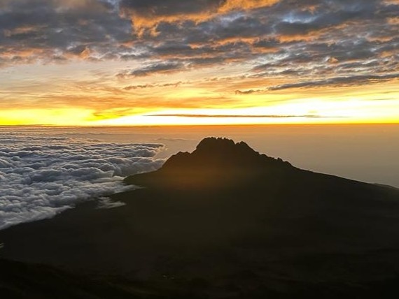 PTC Image